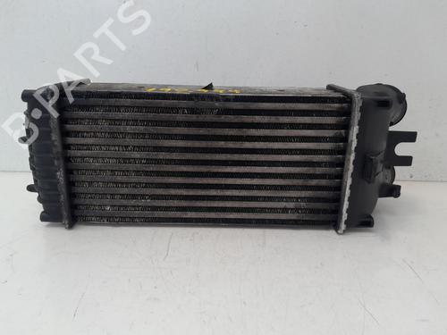 Intercooler CITROËN XSARA PICASSO (N68) 1.6 HDi | BP29636271M30 