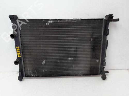 Used Water radiator RENAULT MEGANE II Saloon (LM0/1_) 1.9 dCi (LM0G, LM1G, LM2C) (120 hp) 29573303