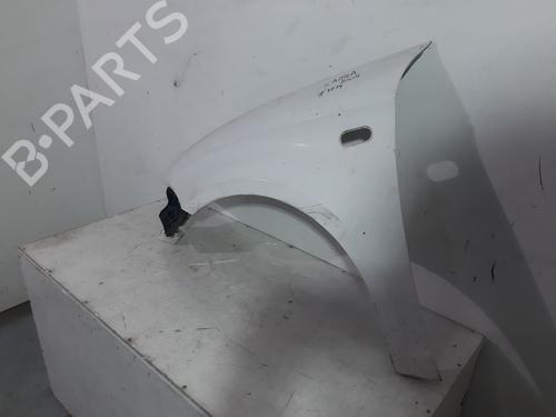 Left front fenders SEAT ALTEA (5P1)  | BP23104540C41 