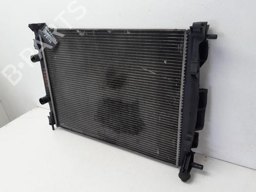 Water radiator RENAULT MEGANE II Saloon (LM0/1_)  | BP29573317M31 