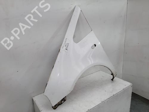 Left front fenders SEAT ALHAMBRA (7V8, 7V9)  | BP21591281C41 