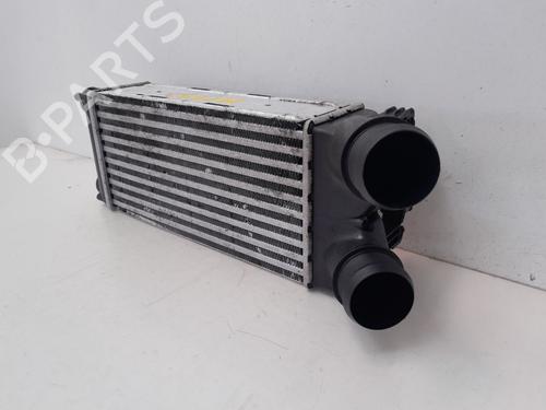Intercooler CITROËN BERLINGO MULTISPACE (B9) 1.6 HDi 75 / BlueHDi 75 | BP29636272M30 