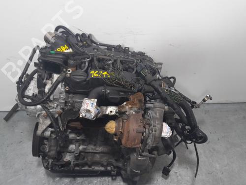 Engine FORD FOCUS C-MAX (DM2)  | BP21143630M1 