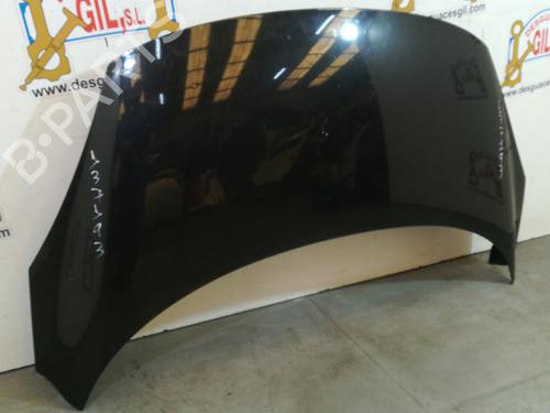 Hood RENAULT SCÉNIC III (JZ0/1_)  | BP20752337C1