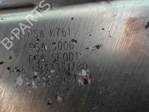 Particulate filter CITROËN C3 III (SX)  | BP29715960M81 