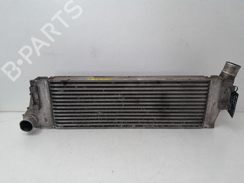 Intercooler RENAULT MEGANE II Saloon (LM0/1_) [2003-2025]  29634811