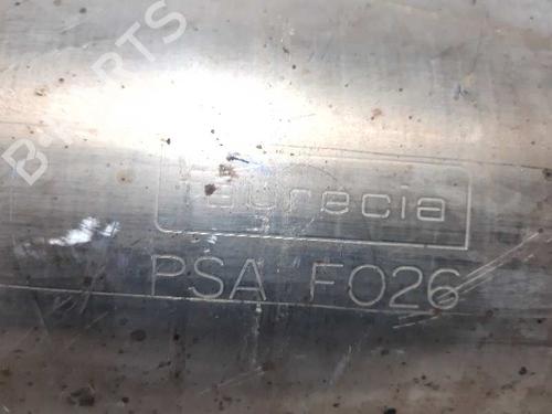 Catalyst CITROËN C4 II (NC_) 1.6 BlueHDi 100 | BP20733580M10 