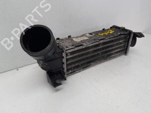 Intercooler SEAT CORDOBA (6K1, 6K2) | BP29634809M30