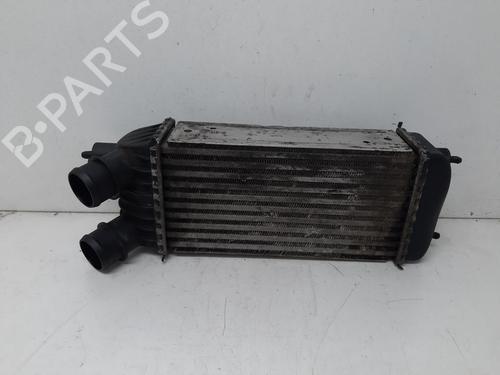 Intercooler Intercooler CITROËN JUMPY II Van 1.6 HDi 90 8V (90 hp) 34131625 34131625