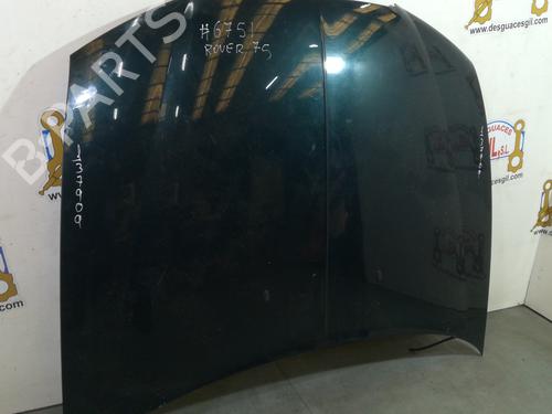 Hood ROVER 75 (RJ) 2.0 CDT | BP20752362C1 