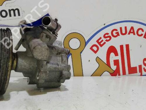 Steering pump FIAT DUCATO Van (244_)  | BP20779048M99 