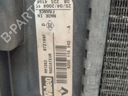 Køler RENAULT MEGANE II (BM0/1_, CM0/1_) | BP29573307M31