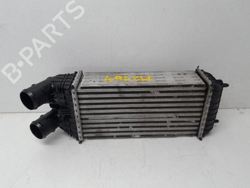 Intercooler PEUGEOT 208 I (CA_, CC_) 1.6 BlueHDi 100 | BP29634805M30