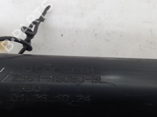 Right rear shock absorber FORD FIESTA V (JH_, JD_) 1.4 16V | BP20771143M19 