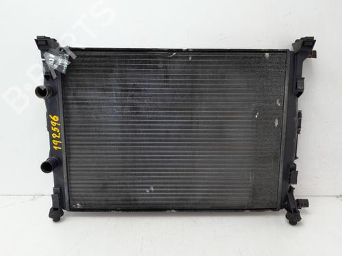 Køler RENAULT MEGANE II (BM0/1_, CM0/1_) [2001-2012]  29573307