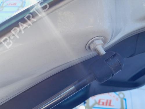 Tailgate lift support SEAT ALTEA XL (5P5, 5P8)  | BP28278752C138 