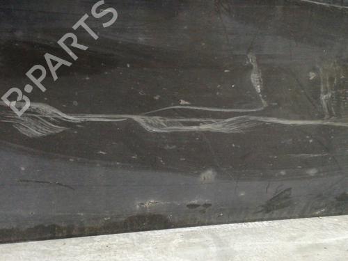 Right front door RENAULT CLIO III (BR0/1, CR0/1) 1.5 dCi (BR17, CR17) | BP20750858C3 