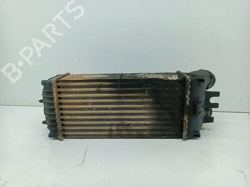 Intercooler SANTANA 300/350  | BP29721876M30 