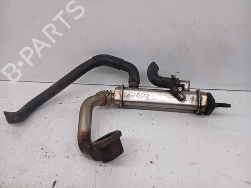 EGR Ventil EGR Ventil NISSAN X-TRAIL I (T30) [2001-2013] 34251744 34251744