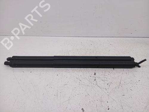 BP33119649C138 main image