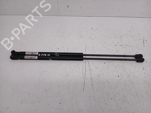Gassdemper Bakluke RENAULT SCÉNIC II (JM0/1_) [2003-2010]  28529981