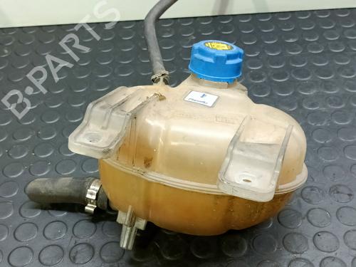 Used Expansion tank FIAT GRANDE PUNTO (199_) 1.9 D Multijet (116 hp) 20814739