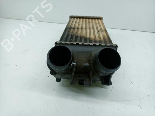 Intercooler SANTANA 300/350  | BP29721876M30 