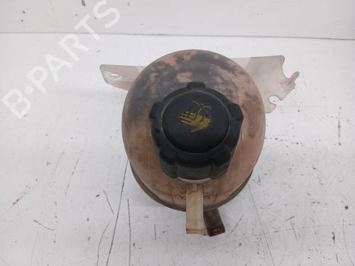 Used Expansion tank RENAULT KANGOO (KC0/1_) 1.5 dCi (68 hp) 29484044