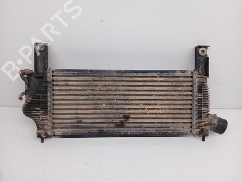 Intercooler NISSAN PATHFINDER III (R51)  | BP27185316M30 
