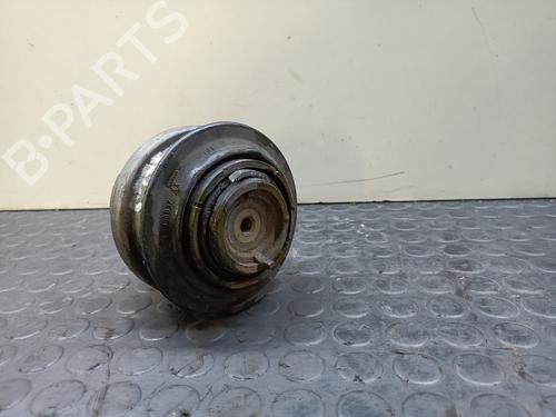 Engine mount MERCEDES-BENZ E-CLASS (W210) E 300 Turbo-D (210.025) | BP20825834M89 