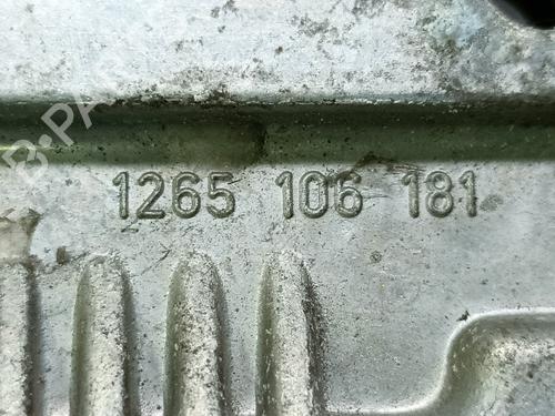 Engine control unit (ECU) PEUGEOT 206 Hatchback (2A/C)  | BP20836226M57 