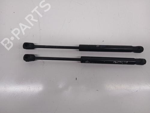 Hood lift support LAND ROVER RANGE ROVER EVOQUE (L538)  | BP29721811C139 