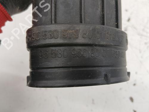 Pipe PEUGEOT 407 Coupe (6C_) 2.7 HDi | BP29204371M125 