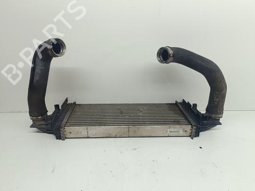 Intercooler MERCEDES-BENZ M-CLASS (W164) ML 320 CDI 4-matic (164.122) | BP22442993M30 