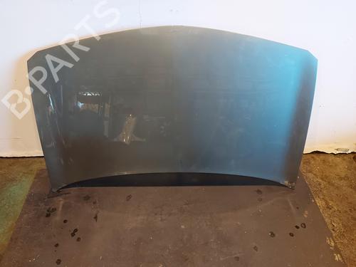 Used Hood RENAULT MEGANE II (BM0/1_, CM0/1_) 1.9 dCi (BM0G, CM0G) (120 hp) 28716805