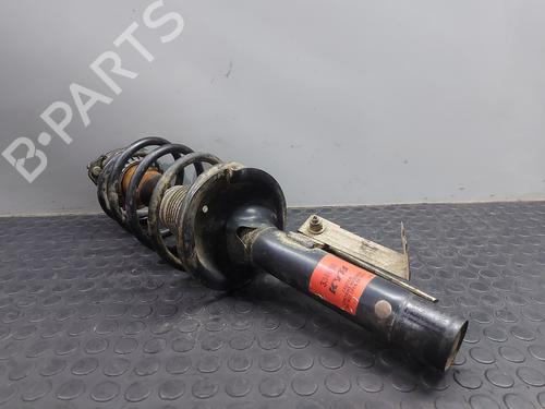 Left front shock absorber FORD TOURNEO CONNECT 1.8 TDCi /TDDi /DI | BP20824766M16 