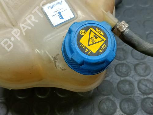 Expansion tank FIAT GRANDE PUNTO (199_) 1.9 D Multijet | BP20814739C120