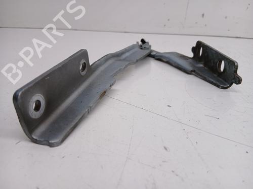 Hinge/Door check strap FIAT ULYSSE (179_) 2.2 JTD | BP29589671C146 