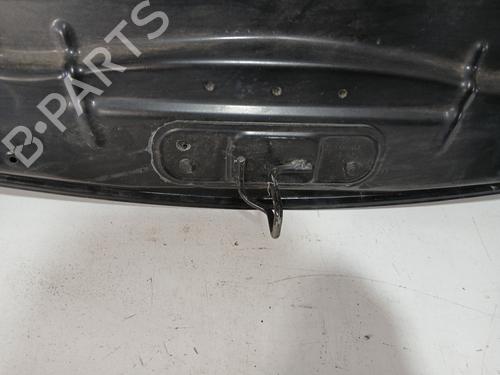 Hood RENAULT CLIO III (BR0/1, CR0/1) 1.2 16V (BR0P, CR0P) | BP20841027C1 