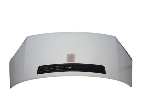 Motorhaube für Motorhaube 38240230 38240230
