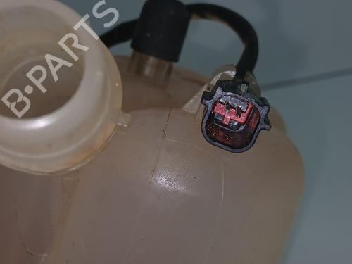 Expansion tank LAND ROVER RANGE ROVER EVOQUE (L538)  | BP29721802C120 
