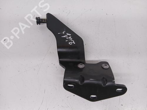 Hinge/Door check strap RENAULT MASTER II Van (FD) 2.5 dCi | BP27325001C146 