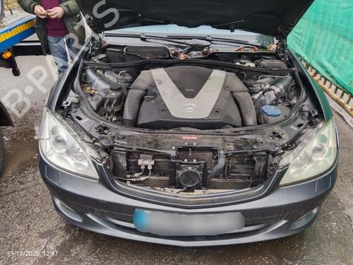 Engine MERCEDES-BENZ S-CLASS (W221, V221) S 450 CDI (221.028, 221.128) | BP31904181M1