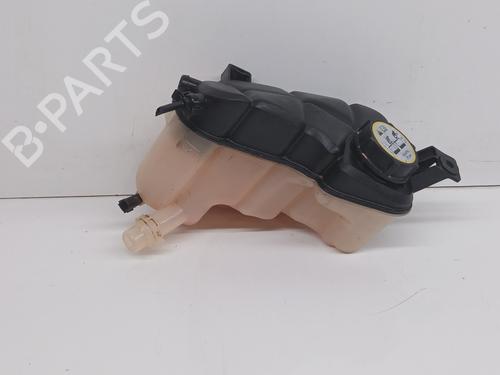 Used Expansion tank LAND ROVER RANGE ROVER EVOQUE (L538) [2011-2019]  29721802