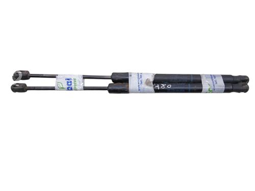 tailgate-lift-support-renault-megane-iii-hatchback-bz01_-b3_-2008-33694828 main image