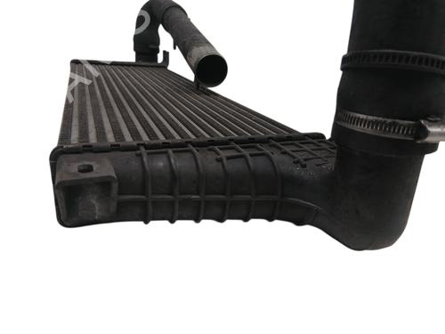 Intercooler SANTANA PS10/ANIBAL | BP33943879M30 - Image 4
