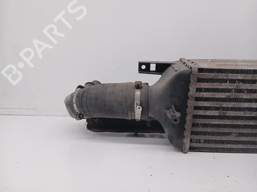 Intercooler FIAT BRAVO II (198_) 2.0 D Multijet (198AXN1B) | BP30580171M30 