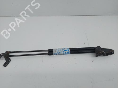 Tailgate lift support NISSAN QASHQAI / QASHQAI +2 I (J10, NJ10, JJ10E) 2.0 dCi | BP23780744C138 