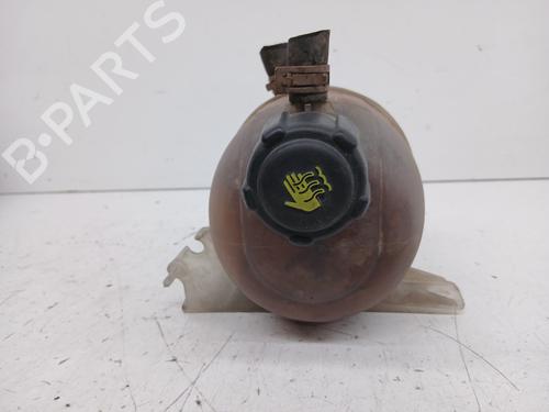 Expansion tank RENAULT KANGOO (KC0/1_) 1.5 dCi | BP29484043C120 