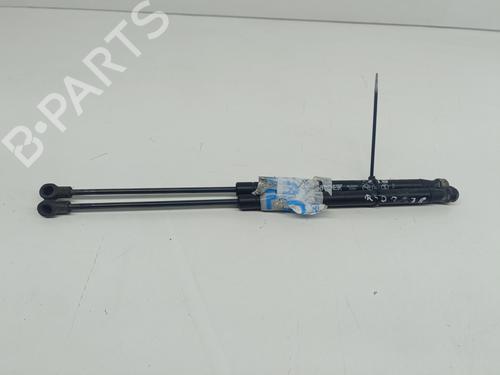 Used Tailgate lift support LAND ROVER DISCOVERY III (L319) [2004-2009]  22505025